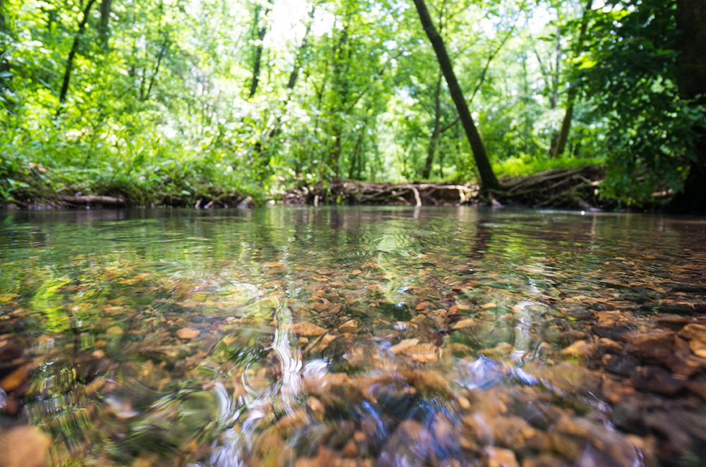 riverbed
